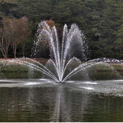 Water Fountain Service Provider